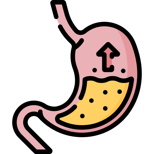 Icon of a human stomach with an arrow indicating upward movement and a yellow substance inside.